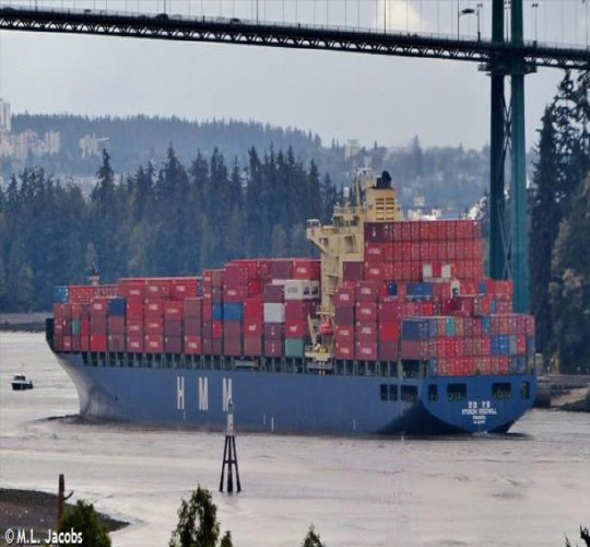 정부가 지난 3월 발생한 수에즈 운하 통항 중단 사태가 수출기업에 미치는 영향을 최소화하고자 유럽 항로에 HMM의 4천600TEU급 컨테이너선 '굿윌'(GOODWILL)호를 추가로 투입해 수출 차질을 방지할 방침이다. <해양수산부 제공>